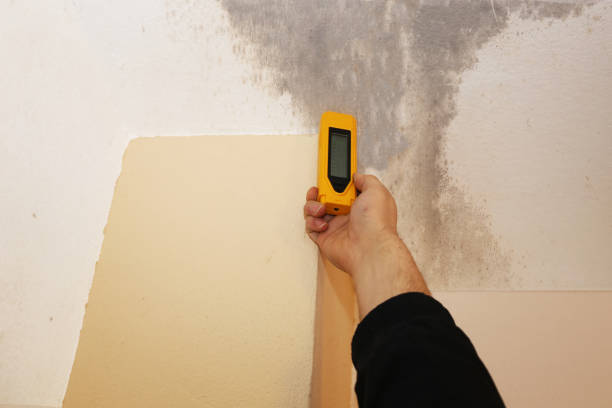 Best HVAC Mold Inspection and Cleaning  in Heppner, OR