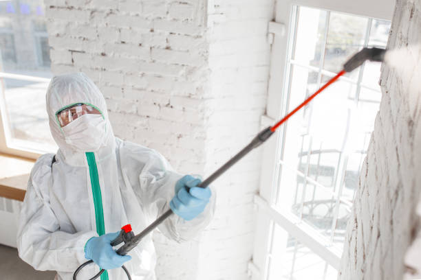 Best Air Quality Testing for Mold Spores  in Heppner, OR