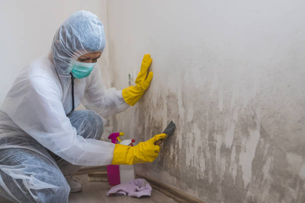 Best Mold Documentation for Insurance Claims  in Heppner, OR