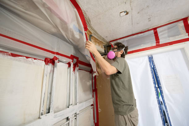 Best Post-Remediation Verification Testing  in Heppner, OR