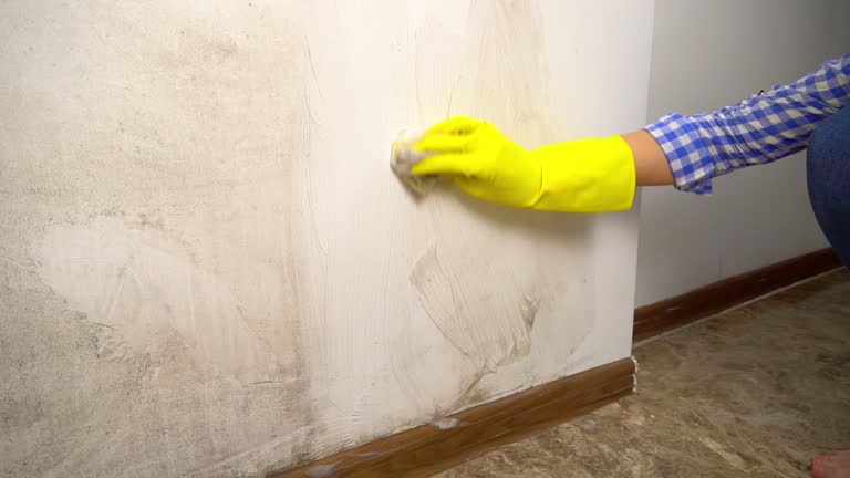 Best Commercial Mold Inspection  in Heppner, OR