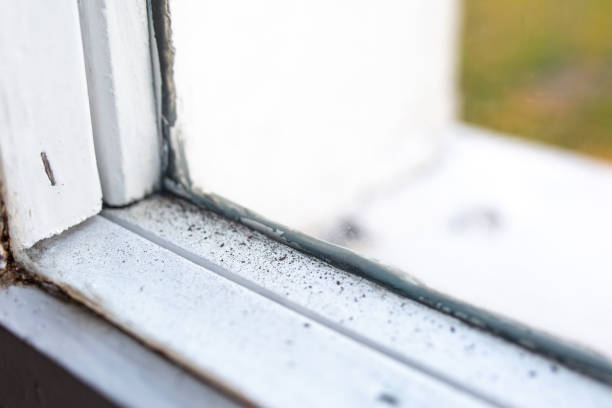 Best Mold Removal for HVAC Installations  in Heppner, OR