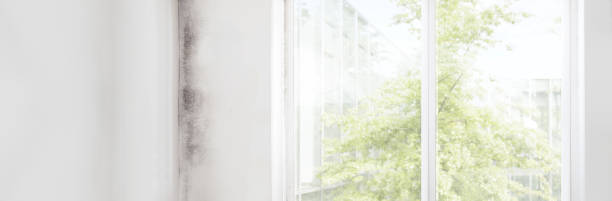Best Indoor Air Quality Assessment  in Heppner, OR