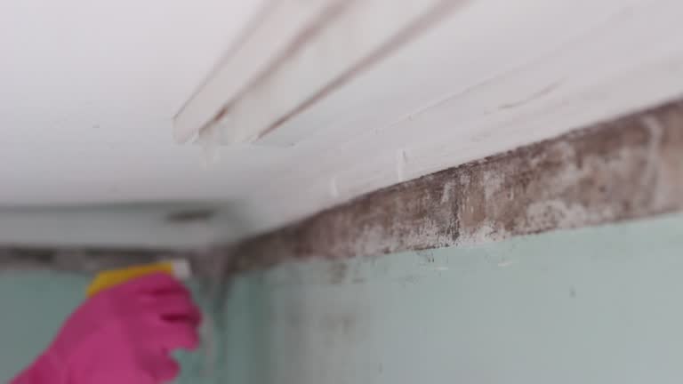 Best Indoor Air Quality Assessment  in Heppner, OR